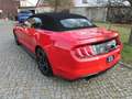 Ford Mustang Cabrio  2,3 l Ecoboost Automatic Cabrio Navi Ecobo Piros - thumbnail 5