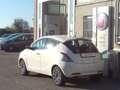 Lancia Ypsilon 1.2 Gold ADATTA NEOPATENTATI - 5°POSTI Weiß - thumbnail 4