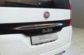Fiat Qubo Trekking 1.3 MJT N1 + IVA Alb - thumbnail 11