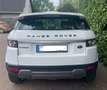 Land Rover Range Rover Evoque SD4 Aut. Prestige Weiß - thumbnail 3