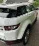 Land Rover Range Rover Evoque SD4 Aut. Prestige Weiß - thumbnail 13