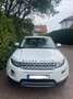 Land Rover Range Rover Evoque SD4 Aut. Prestige Weiß - thumbnail 4