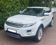 Land Rover Range Rover Evoque SD4 Aut. Prestige Weiß - thumbnail 1