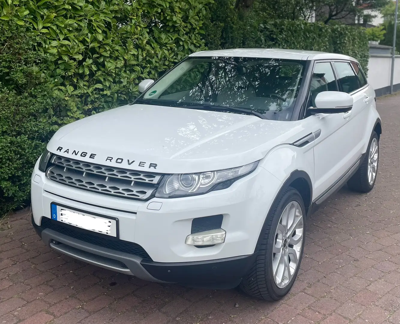 Land Rover Range Rover Evoque SD4 Aut. Prestige Weiß - 1