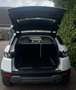 Land Rover Range Rover Evoque SD4 Aut. Prestige Weiß - thumbnail 2