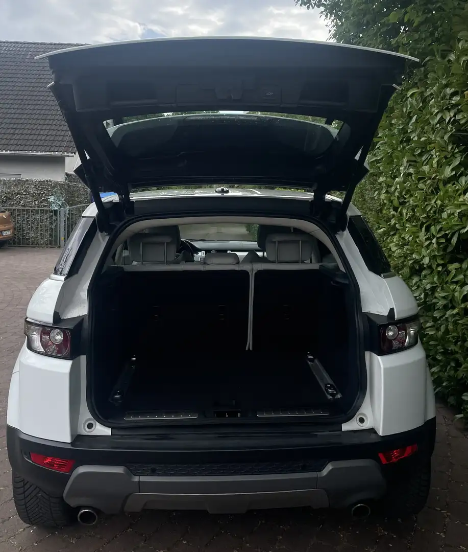 Land Rover Range Rover Evoque SD4 Aut. Prestige Weiß - 2