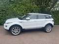 Land Rover Range Rover Evoque SD4 Aut. Prestige Weiß - thumbnail 9