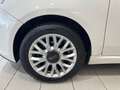 Fiat 500 1.3 Multijet 16V 95 CV Lounge *NEOPATENTATI* Alb - thumbnail 10