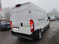 Citroen Jumper 35+ Heavy 3,5T L3H2 BlueHDi 140 S&S LAGE... Weiß - thumbnail 6