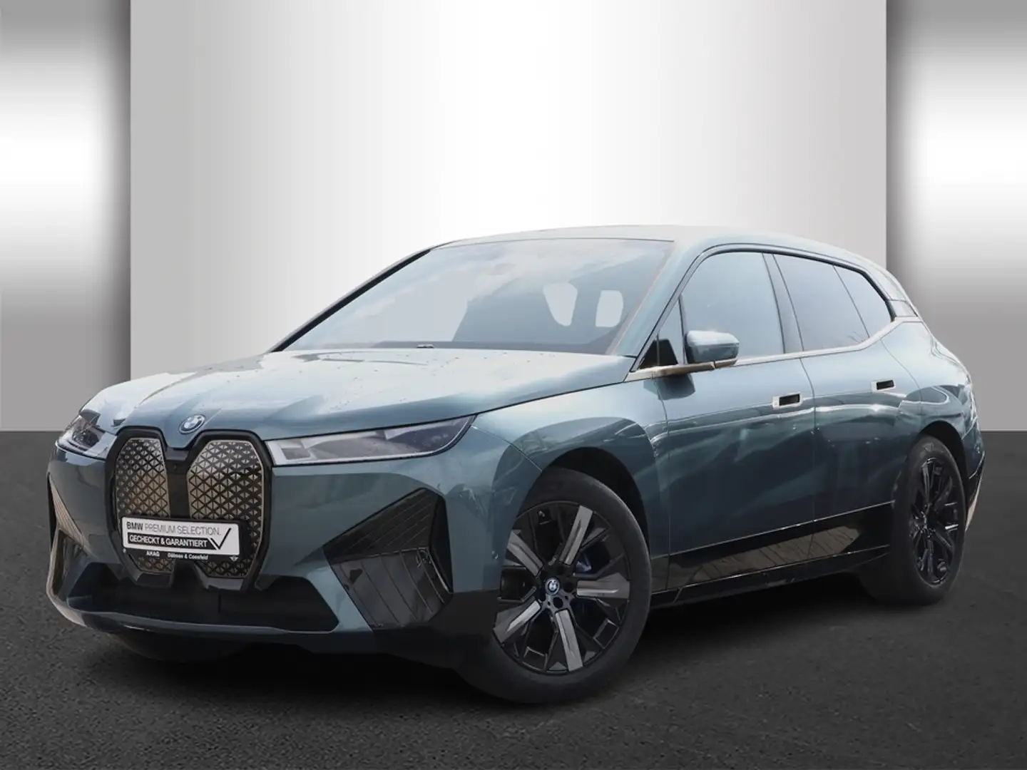 BMW iX xDrive40 Klimaaut. AHK Komfortzugang Modrá - 2