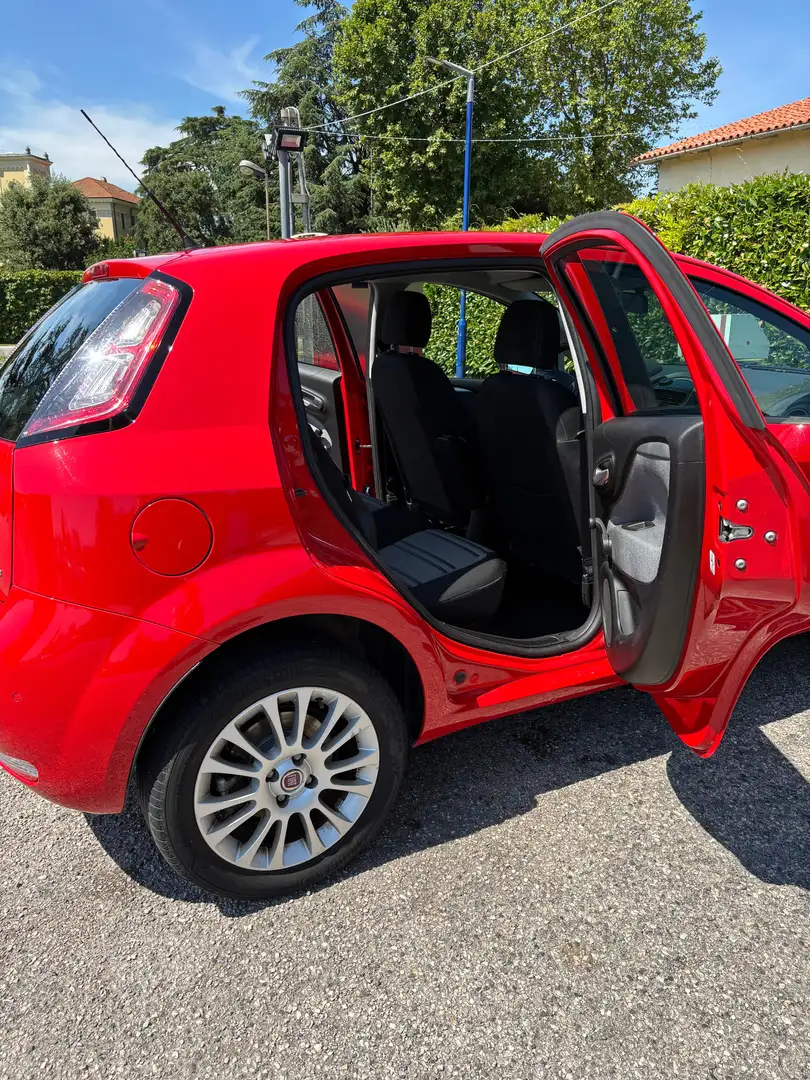 Fiat Punto Evo Punto Evo5p 1.4 natural power Dynamic 70cv Rosso - 2