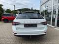 Skoda Superb Combi 1.5 TSI DSG Standhzg. Voll-Leder AHK Wit - thumbnail 5