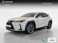 Lexus UX 250h 2.0 Premium Weiß - thumbnail 1