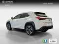 Lexus UX 250h 2.0 Premium Weiß - thumbnail 4