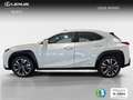 Lexus UX 250h 2.0 Premium Weiß - thumbnail 3
