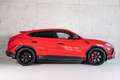 Lamborghini Urus PERFORMANTE Carbon Panoramic Production 25 Rouge - thumbnail 10
