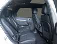 Land Rover Discovery D250 R-Dynamic SE Navi Leder ACC Panoramadach Weiß - thumbnail 14