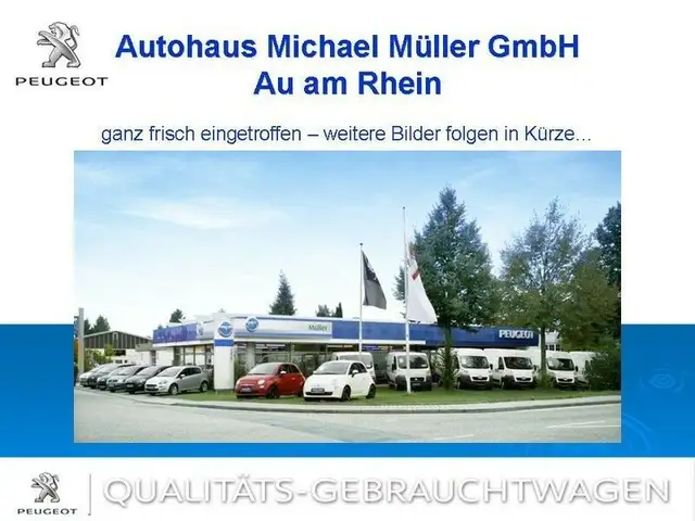Peugeot e-2008 Active 136,11 kW OBC,aut.Klima,PDC