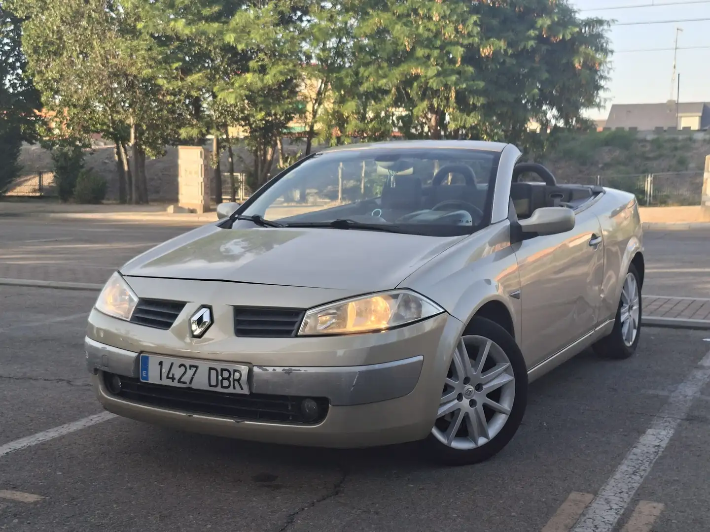 Renault Megane Mégane C.C. 2.0 Luxe Privilege - 1