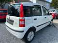 Fiat Panda 1.1 8V Active Weiß - thumbnail 3