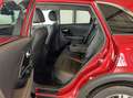 Kia Niro 1.6 GDi 104kW PHEV DynamicPlusLine Rood - thumbnail 29