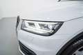 Audi Q5 35 TDI quattro-ultra S tronic 120kW Blanco - thumbnail 10