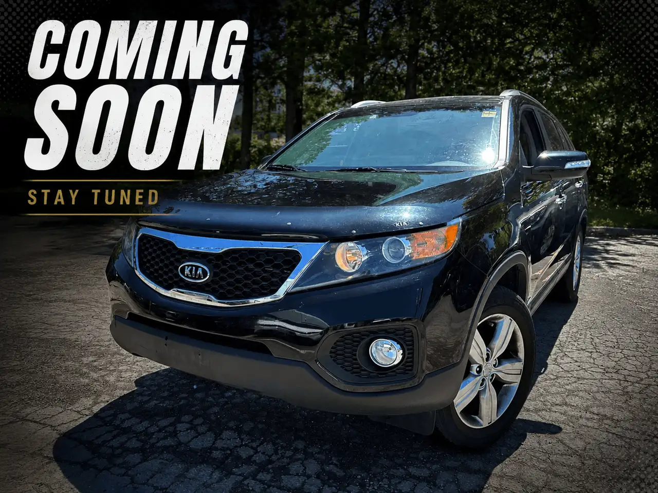 2013 Kia Sorento