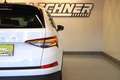 Skoda Kodiaq 2.0 TDI DSG "LED*AHK*NAVI*SITZH*LEDER" Weiß - thumbnail 6