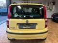 Fiat Panda 1.2 dualogic*55000KM *AUTO*NEOPATENTATI Geel - thumbnail 5