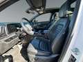 Kia Sportage Sportage 1,6 CRDI 48V GT-Line AWD DCT Weiß - thumbnail 9