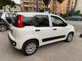 Fiat Panda 1.0 firefly hybrid City Life s&s 70cv  Van 2 posti Blanc - thumbnail 3