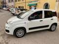Fiat Panda 1.0 firefly hybrid City Life s&s 70cv  Van 2 posti Blanc - thumbnail 1