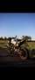 Kawasaki Z 650 50kw Wit - thumbnail 9