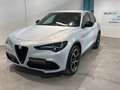 Alfa Romeo Stelvio 2.2 TD 210 CV Veloce AT8 Q4 Grau - thumbnail 1