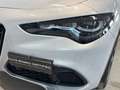 Alfa Romeo Stelvio 2.2 TD 210 CV Veloce AT8 Q4 Grau - thumbnail 9