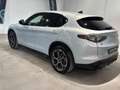 Alfa Romeo Stelvio 2.2 TD 210 CV Veloce AT8 Q4 Grau - thumbnail 6