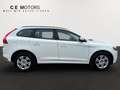 Volvo XC60 D4 Summum Geartronic Weiß - thumbnail 7