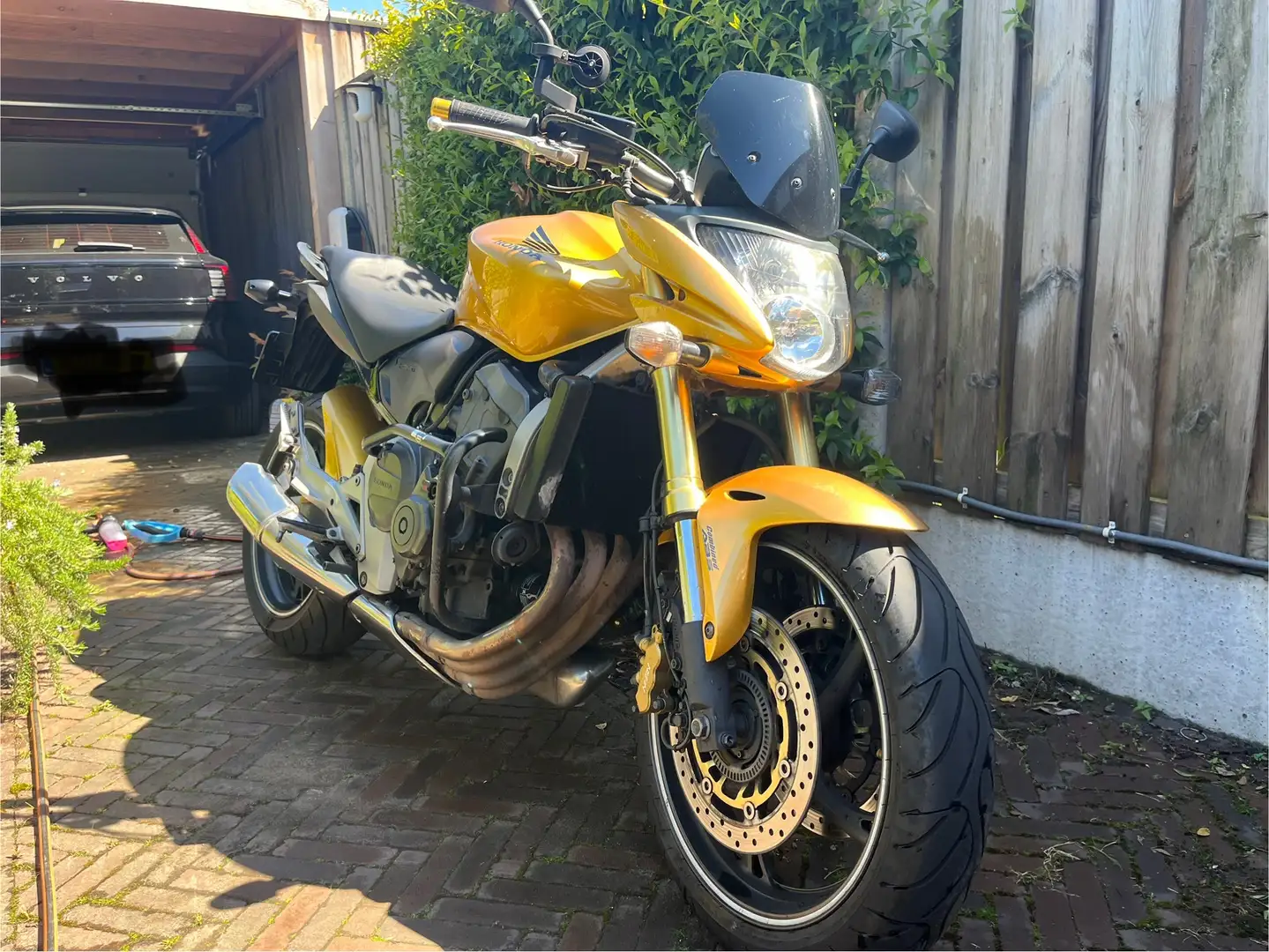 Honda CB 600 F A Hornet Auriu - 1