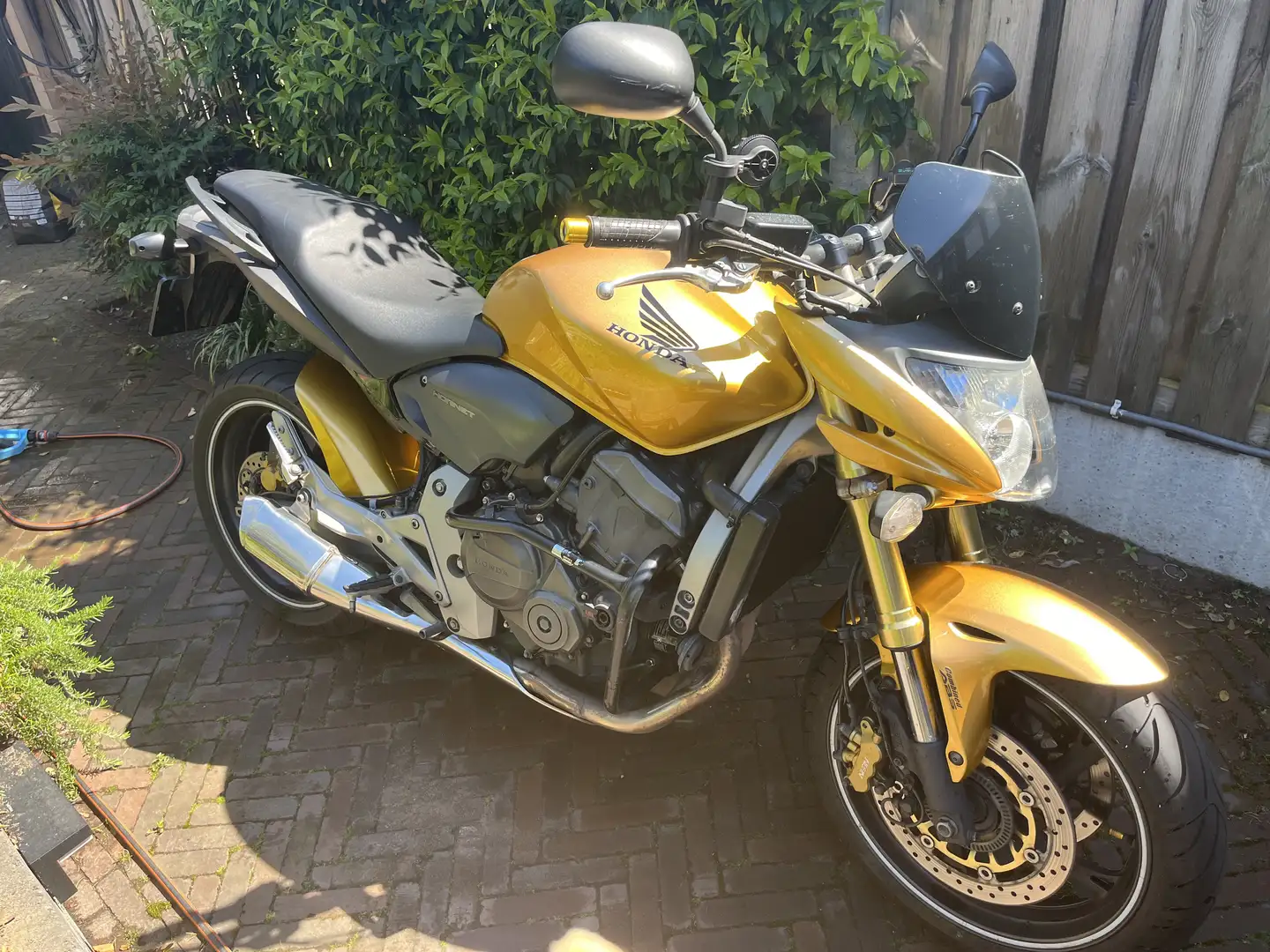 Honda CB 600 F A Hornet Auriu - 2
