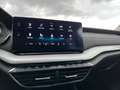 Skoda Octavia Combi 2,0 TDI 4x4 Style DSG | AHK Schwarz - thumbnail 19