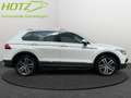 Volkswagen Tiguan 2.0 TDI DSG Elegance AHK/Navi/Sitzh/Klima Weiß - thumbnail 6