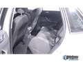 Volkswagen Polo 1.0 Life KLIMA PDC SHZ LED SCHEINWERFER Blanco - thumbnail 15