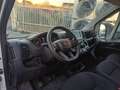 Fiat Ducato 35 2300 MJT RESTYLING 140CV LH2 CARPLAY PDC ITALIA Bianco - thumbnail 8