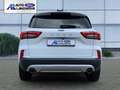 Ford Kuga Titanium 1.5 EcoBoost EU6e HUD Navi Digitales Cock Weiß - thumbnail 7