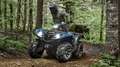 Yamaha Grizzly 700 EPS SE 2025 - T3b Strassenzulassung möglich Blau - thumbnail 7