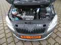 Skoda Roomster Plus Edition Grey - thumbnail 12