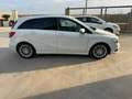 Mercedes-Benz B 180 B 180 CDI Executive Weiß - thumbnail 3