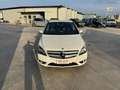 Mercedes-Benz B 180 B 180 CDI Executive Weiß - thumbnail 1