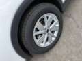 SEAT Arona Reference Edition 1.0 TSI DynLicht Facelift Weiß - thumbnail 5
