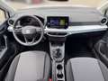 SEAT Arona Reference Edition 1.0 TSI DynLicht Facelift Weiß - thumbnail 11
